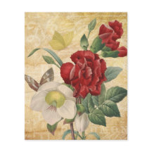 Red & White Hellebores Blommigt Scrapbook Papper
