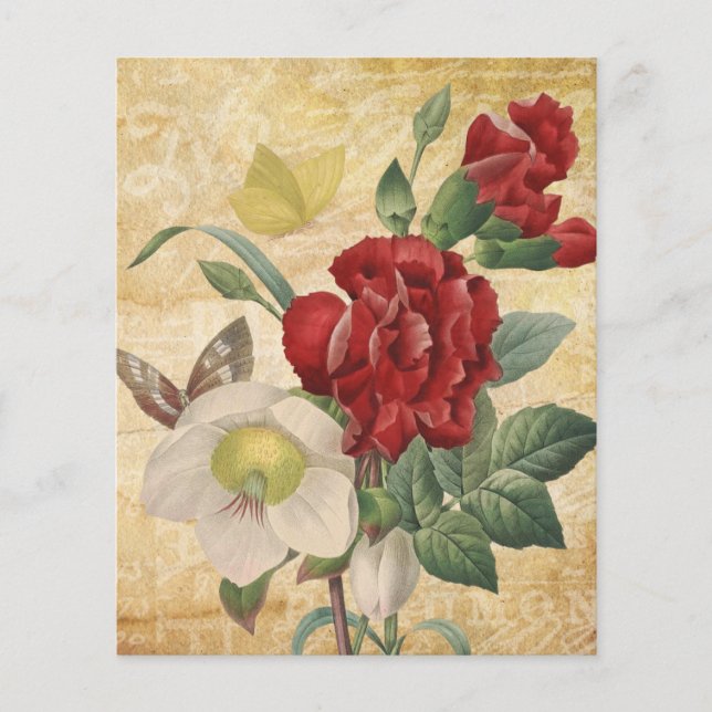 Red & White Hellebores Blommigt Scrapbook Papper (Framsida)