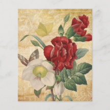 Red & White Hellebores Blommigt Scrapbook Papper