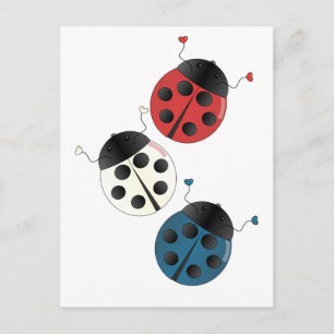 Red White och Blue Ladybugs Vykort