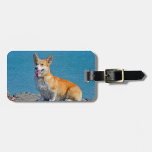 Red & White Pembroke Welsh Corgi Puppy Hund Bagagebricka