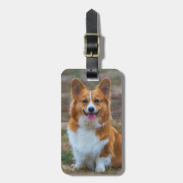 Red & White Pembroke Welsh Corgi Puppy Hund Bagagebricka