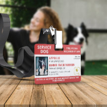 Red White Service Hund-Logotyp och foto-ID