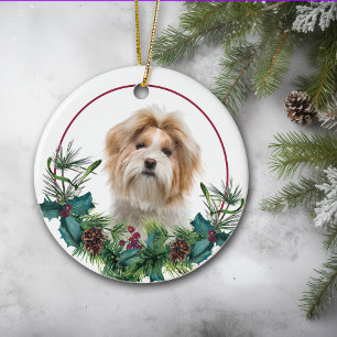 Red White Shih Tzu Hund Evergreen Wand Julgransprydnad Keramik
