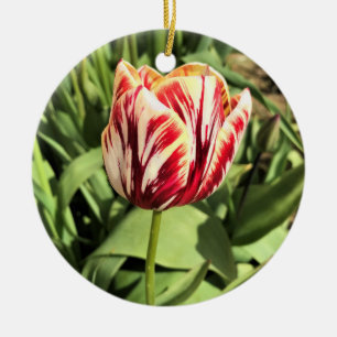 Red & White Tulip Julgransprydnad Keramik