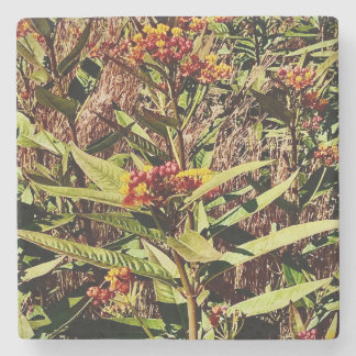 RED WI WILDFLOWER I FALL STENUNDERLÄGG