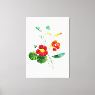 Red Willow II Reverie: Vintage Botanical Canvastryck