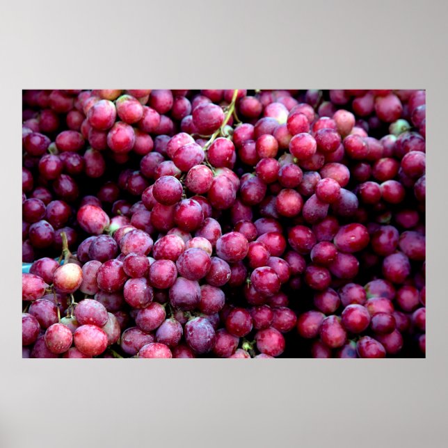 Red wine grapes poster (Framsidan)