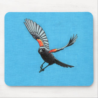 Red-Winged Black Bird Musmatta