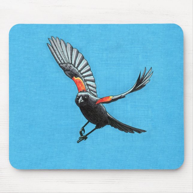 Red-Winged Black Bird Musmatta (Framsidan)