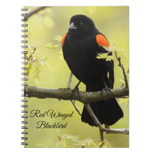 Red Winged Blackbird Anteckningsbok