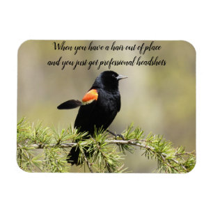 Red Winged BlackBird - Dålig hårdagstext Magnet