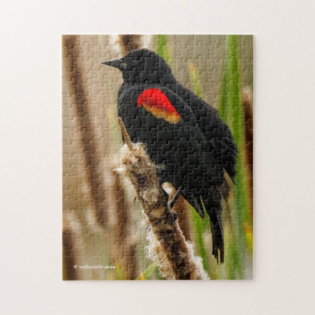 Red-Winged Blackbird på Bulush Pussel (Vertikal)