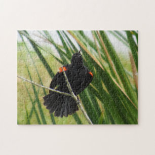Red Winged Blackbird Singing - Bird Jigszle Puzzle Pussel