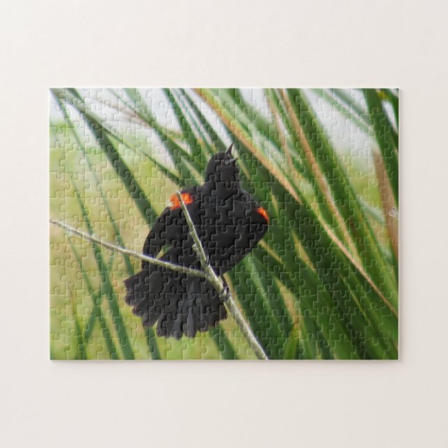 Red Winged Blackbird Singing - Bird Jigszle Puzzle Pussel (Horisontell)