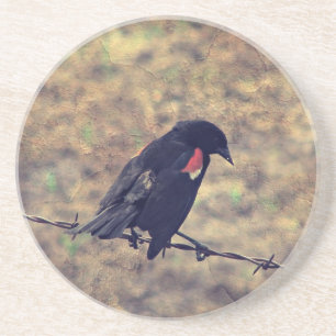 Red Winged Blackbird Underlägg Sandsten