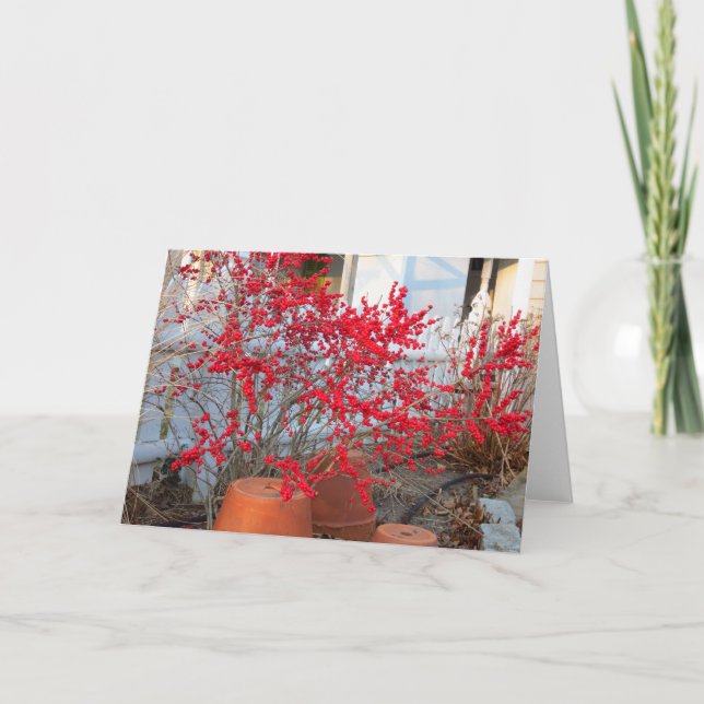 Red Winter Berries - Martha's Vineyard Kort (Framsida)