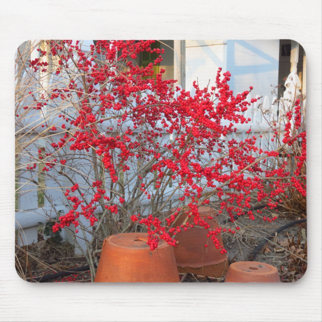 Red Winter Berries - Martha's Vineyard Musmatta (Framsidan)