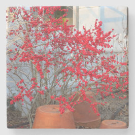 Red Winter Berries - Martha's Vineyard Stenunderlägg