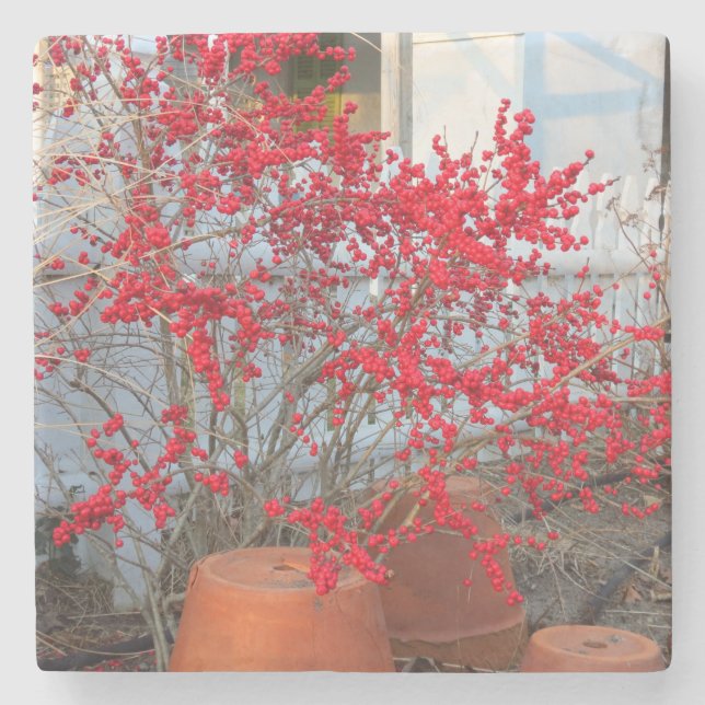 Red Winter Berries - Martha's Vineyard Stenunderlägg (Framsidan)