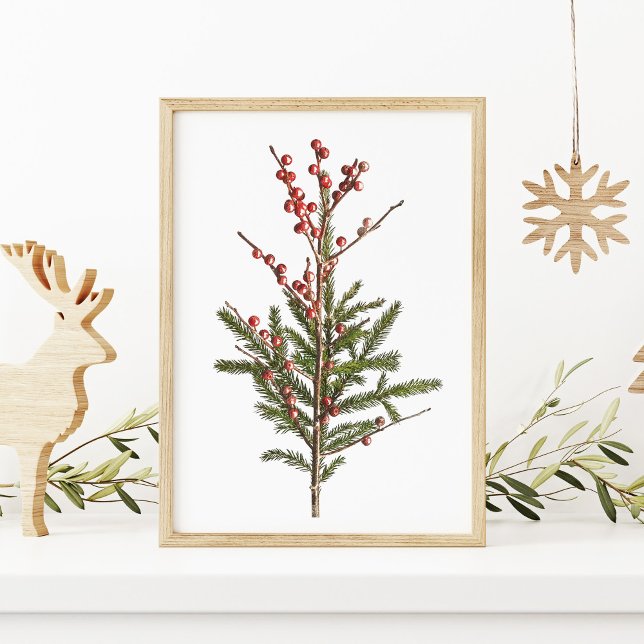 Red Winter Berries och Gräs Poster (Skapare uppladdad)