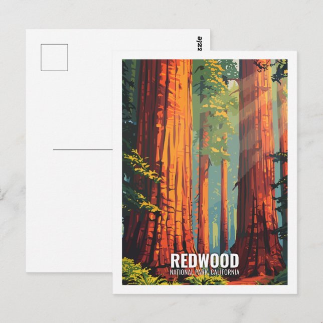 Red Wood National Park California USA Vykort (Fram/baksida)