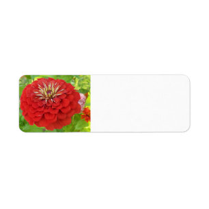 Red Zinnia-adressetiketter Returadress Etikett