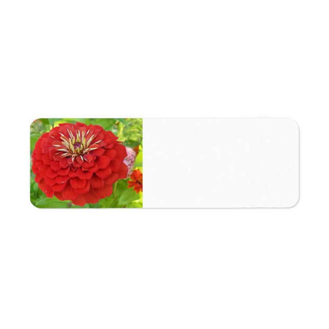 Red Zinnia-adressetiketter Returadress Etikett (Framsidan)