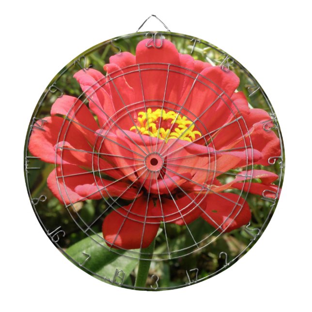 Red Zinnia Dart Board Piltavla (Framsidan)
