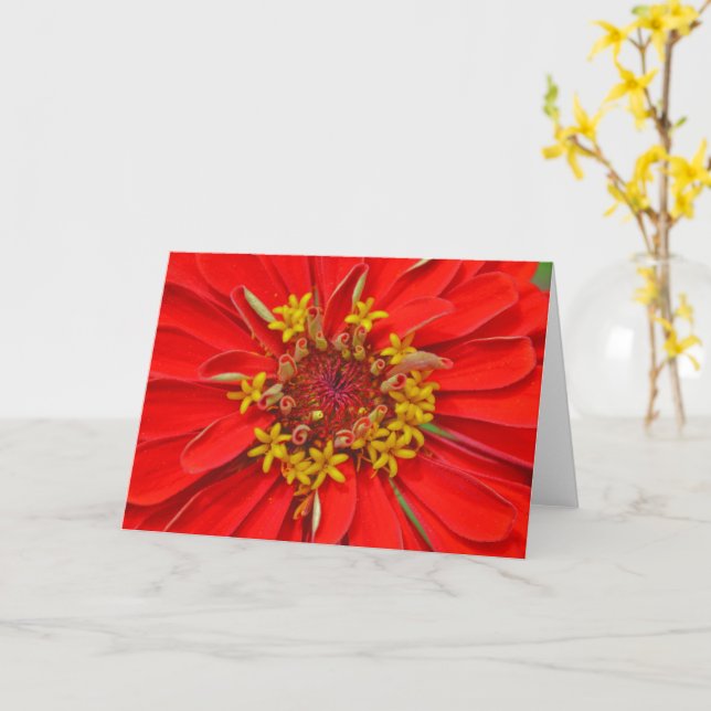 Red Zinnia Flower Close Up Art Note-kort Kort (Gul blomma)