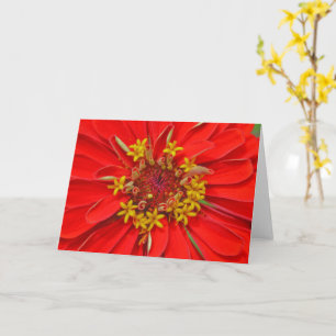 Red Zinnia Flower Close Up Art Note-kort Kort