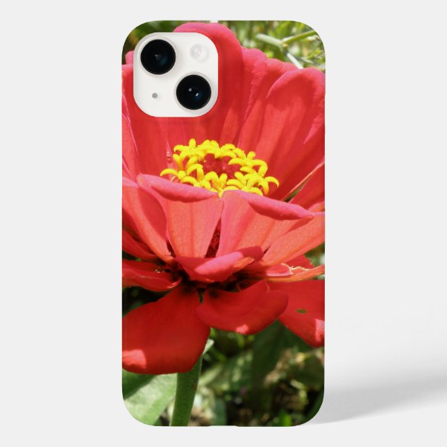 Red Zinnia iPhone 4 Case (Baksida)