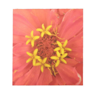 Red Zinnia Macro-Anteckningsblocket Anteckningsblock