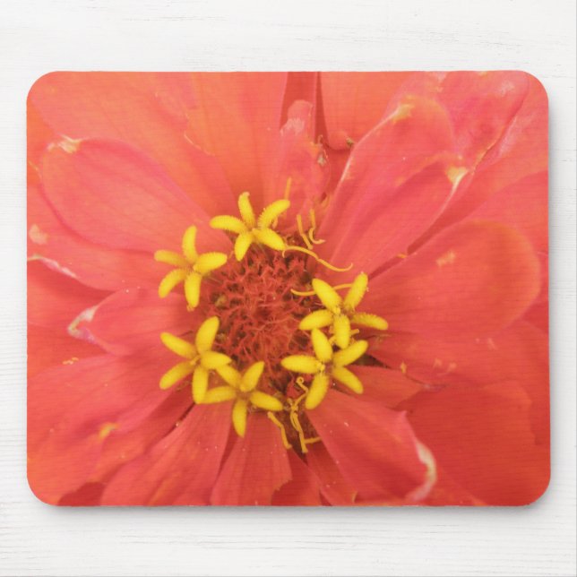 Red Zinnia Macro Mousepad Musmatta (Framsidan)