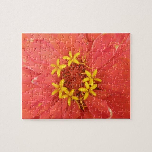 Red Zinnia Macro Puzzle Pussel (Horisontell)