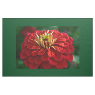 Red zinnia tyg