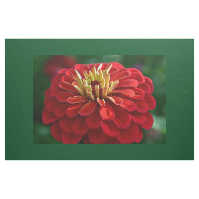 Red zinnia tyg (Yard)