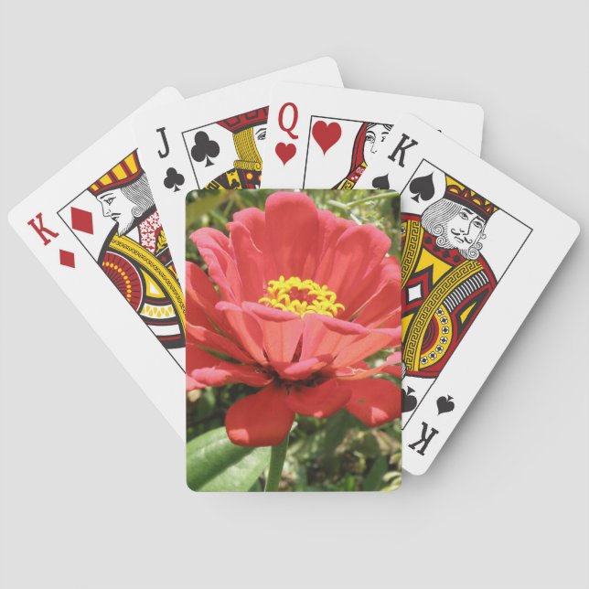 Red Zinnia-uppspelningskort Kortlek (Baksidan)
