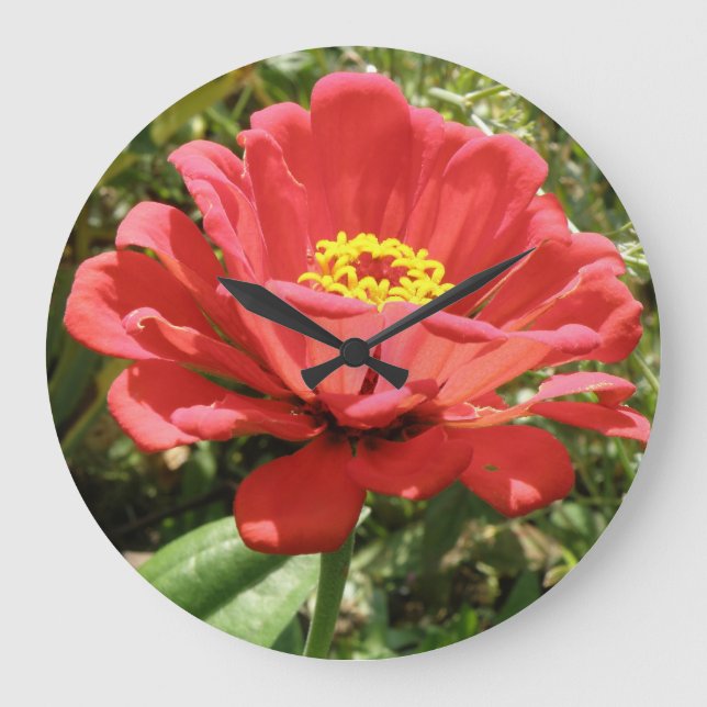 Red Zinnia Wall Clock Stor Klocka (Framsida)