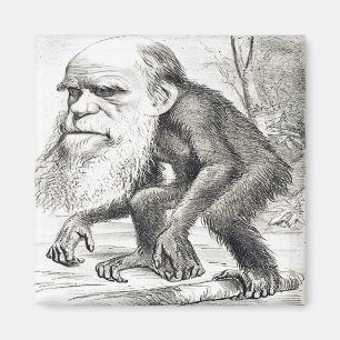 Redaktionell Tecknad av Charles Darwin 1871 Magnet
