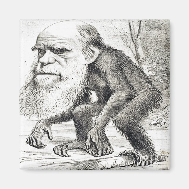 Redaktionell Tecknad av Charles Darwin 1871 Magnet (Framsidan)