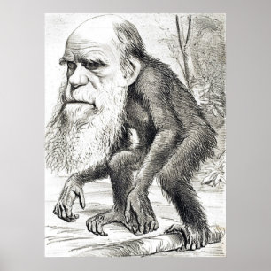 Redaktionell Tecknad av Charles Darwin 1871 Poster
