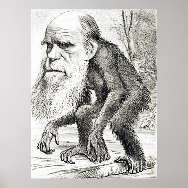 Redaktionell Tecknad av Charles Darwin 1871 Poster (Framsidan)