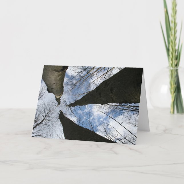 REDAMERA:LÄSA UPP KORT (Framsida)