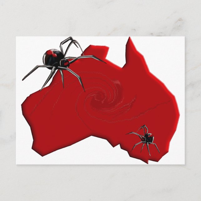 Redback Spider Australia Vykort (Framsida)