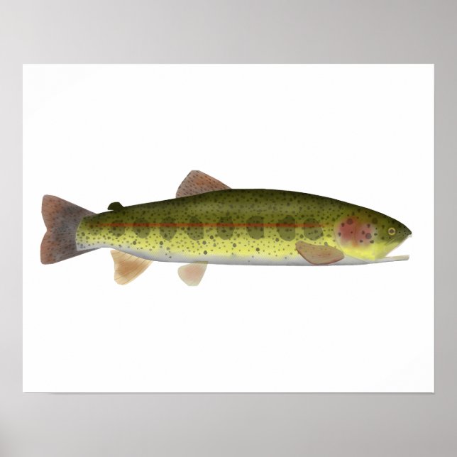 Redband Trout Poster (Framsidan)