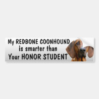 Redbone Coonhound - som är mer smart än student -
