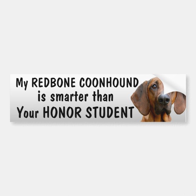 Redbone Coonhound - som är mer smart än student - Bildekal (Framsidan)