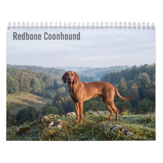 Redbone Coonhounds 2027 Väggkalender Kalender