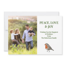 Redbröst Robin Bird Modern Photograph Photo